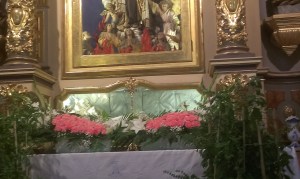 IMAG0420_BURST002[1]